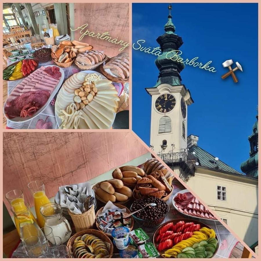 Apartmany Svaeta Barborka Banská Štiavnica Extérieur photo